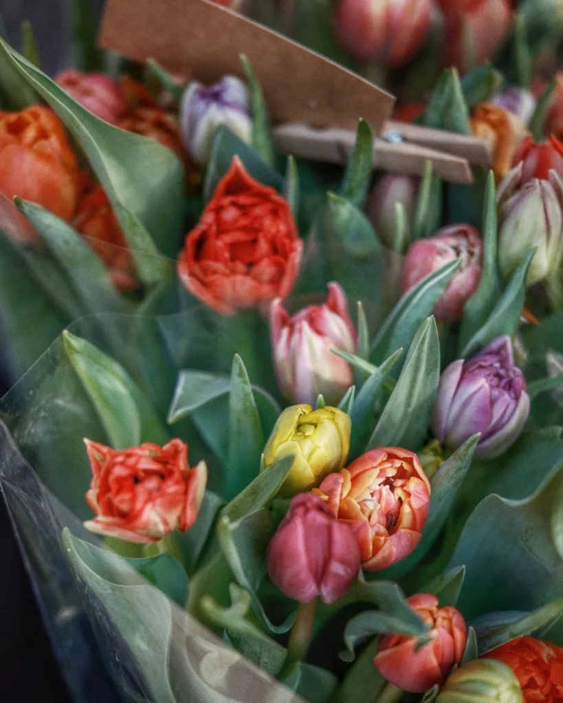Flowers Delivery