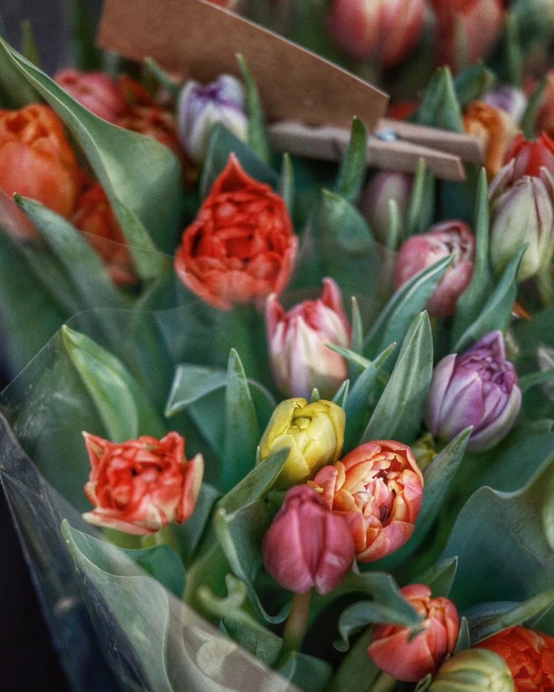 Flowers Delivery