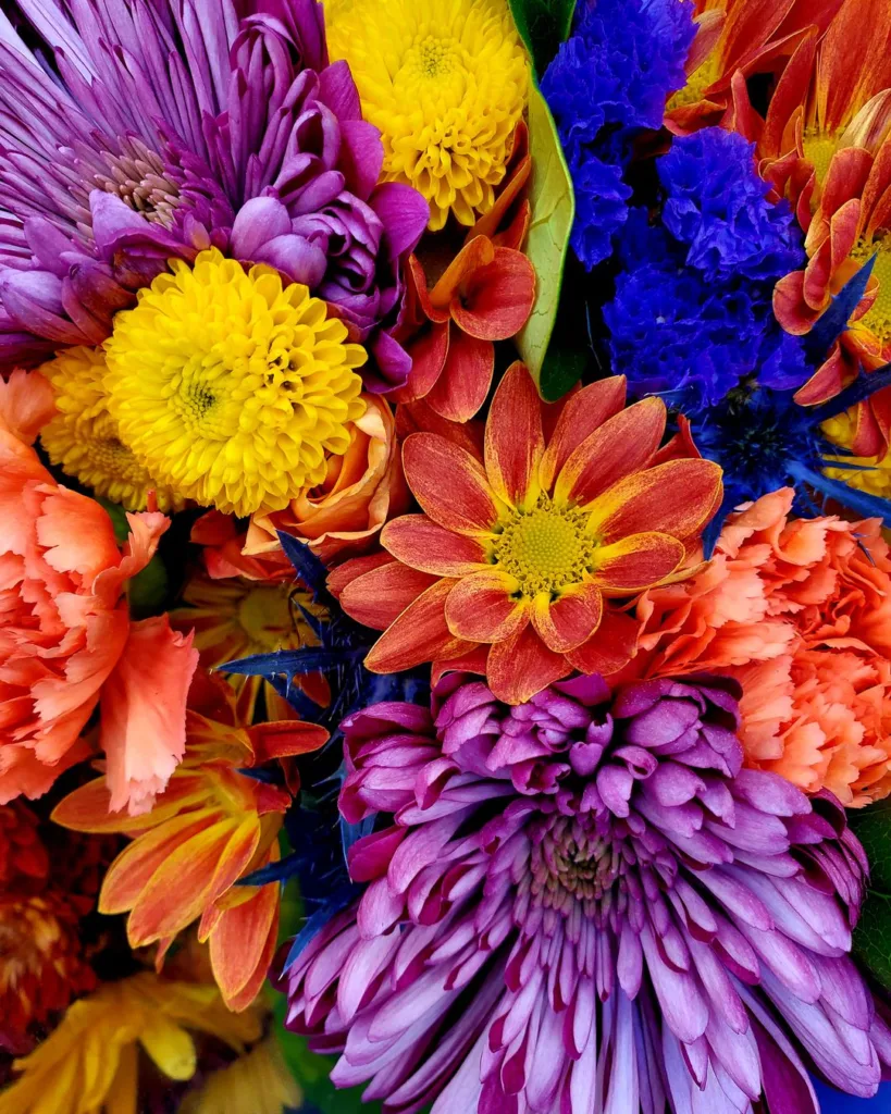 Flowers Delivery