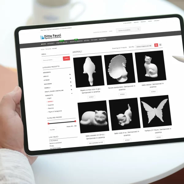 Sviluppo sito web per Ditta Fauci